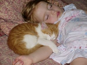 寝ている子猫と赤ちゃん